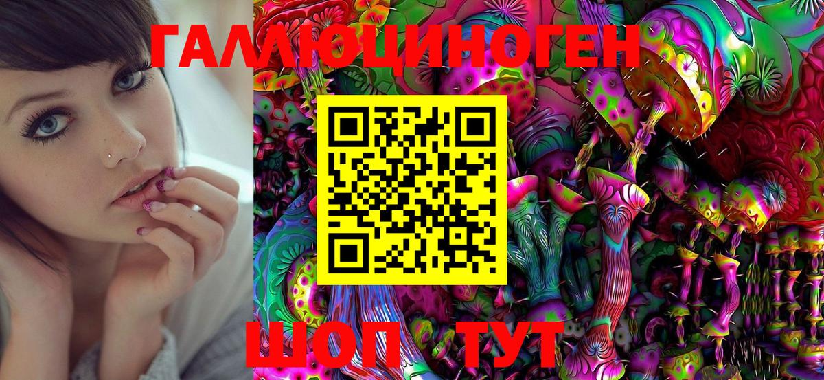 Новомосковск  Псилоцибиновые грибы MAGIC MUSHROOMS  Псилоцибиновые грибы Psilocybine cubensis  Вход с VPN 