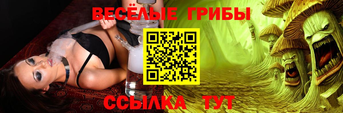 Галлюциногенные грибы Psilocybe Новомосковск